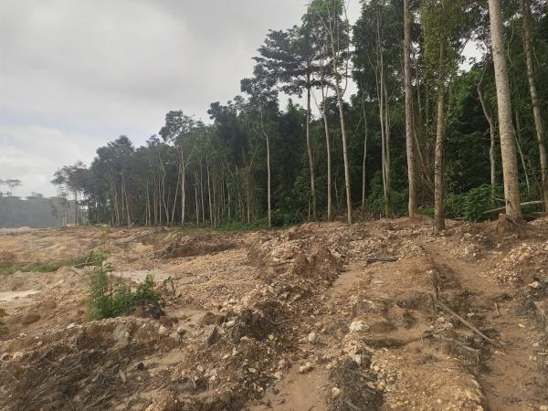 Successful campaign proves Ghana’s&hellip;