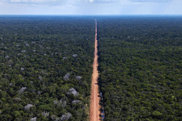Brazil creates four Amazon reserves as&hellip;