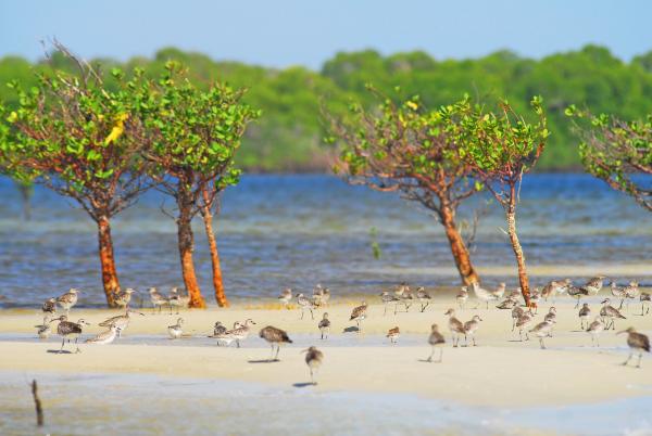 UN fund for sharing biodiversity&hellip;