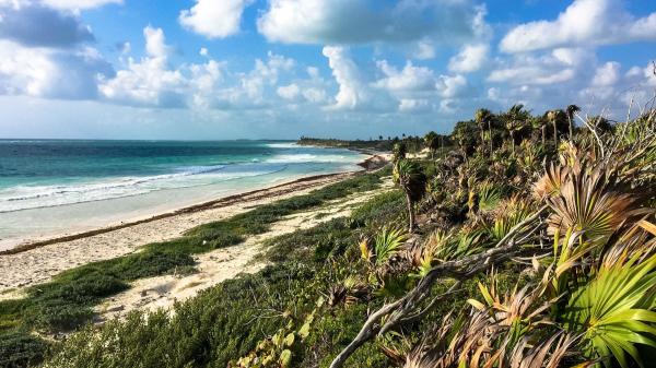 Critics call for halt to road&hellip;