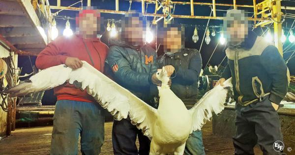 China’s Pacific squid fishery rife&hellip;