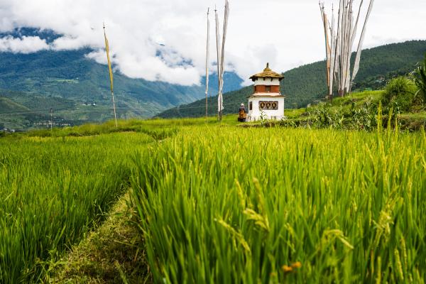 In Bhutan, a philosophy of happiness guides a push for food…