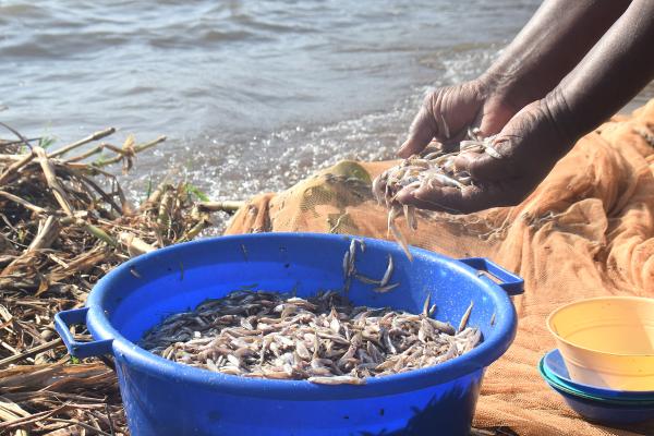 Kenyan women defy fishing taboos as&hellip;