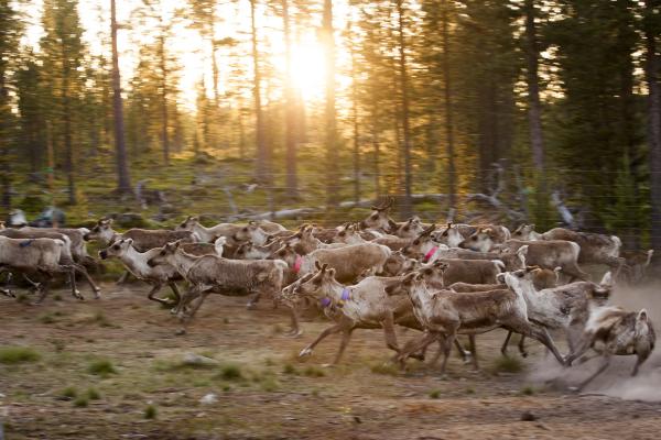 Sacred places & living lands: How&hellip;