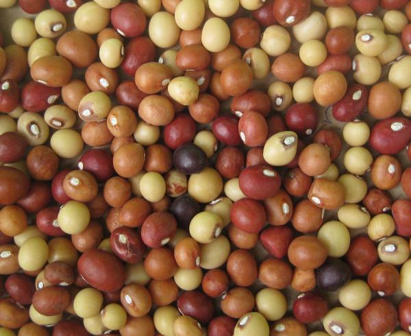 To help farmers in Southern Africa,&hellip;