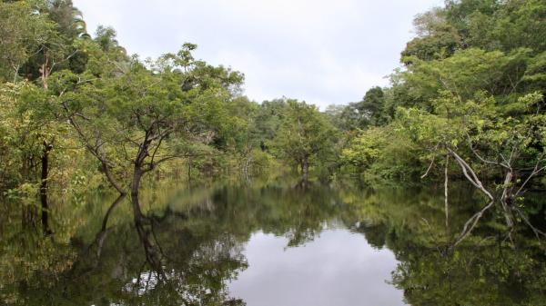 A Belgium-sized area of Amazon wetland&hellip;