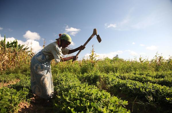 How one woman’s farm is a model for&hellip;