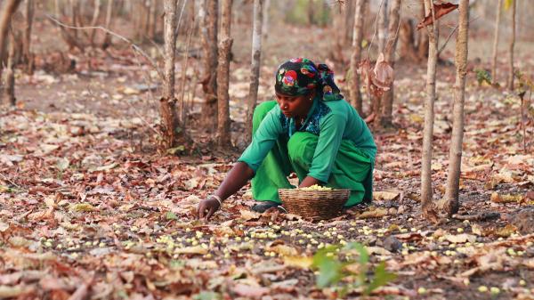 How Indian communities earn a living&hellip;
