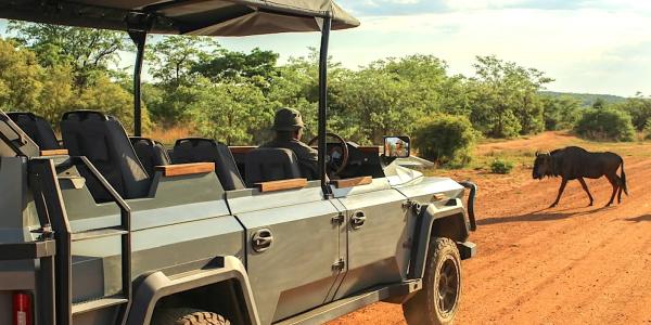 Sneaky safari: Thula Solutions’&hellip;