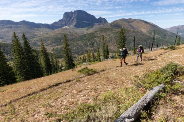 Logging Project Near Yellowstone Could&hellip;