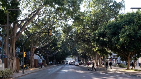 Urban heat islands have solutions; many&hellip;