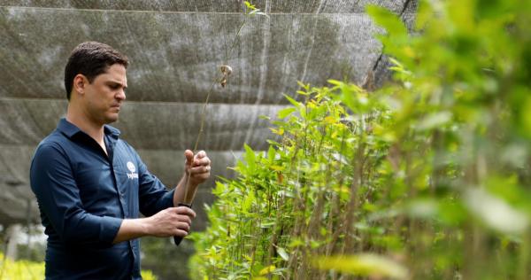 Secret Amazon species may be new source&hellip;