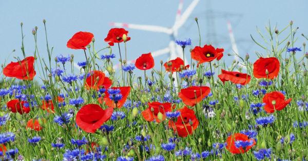 Climate triples heat deaths in Europe