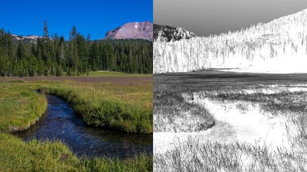 We are bombarding America’s forests&hellip;