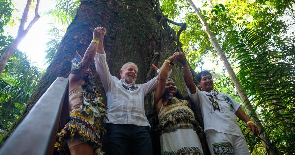 War in the Amazon