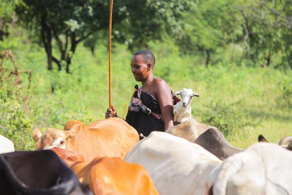 Abuses continue at Tanzanian national…