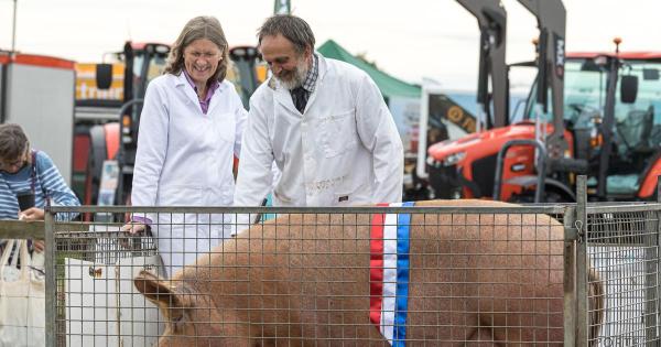 Waitrose 'relies on animal welfare…