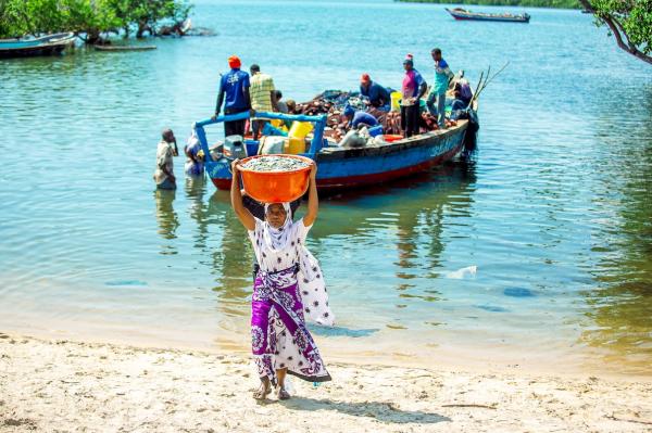 Why Africa should link nutritional data…