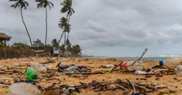 Citizen scientists locate plastic…