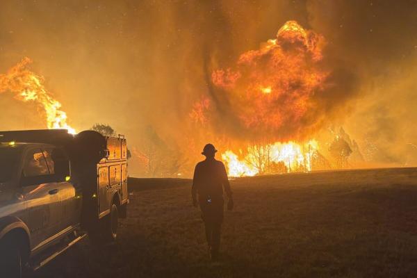 Fixing forests or fueling fires?…