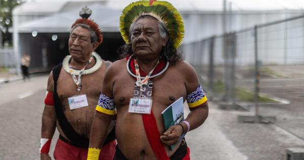 The Amazon does not need new masters