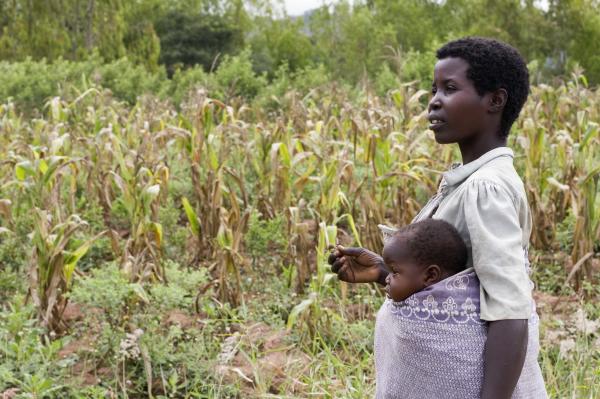 Malawi agroecologists see opportunity in&hellip;