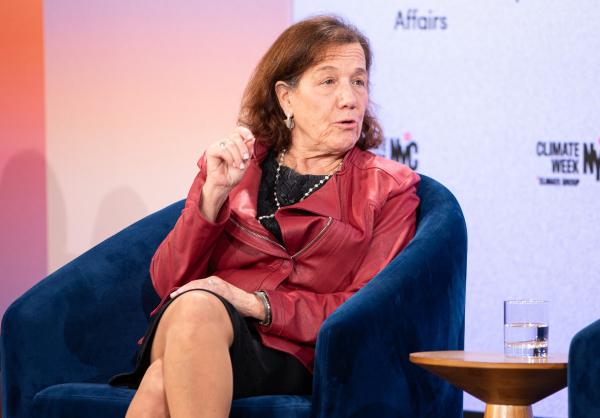 Long-time Ceres CEO Mindy Lubber to step&hellip;