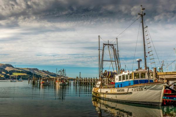 New Zealand put fishing boats under camera surveillance.&hellip;