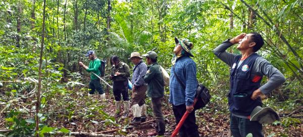 Southeast Asia is a hotspot for oak&hellip;