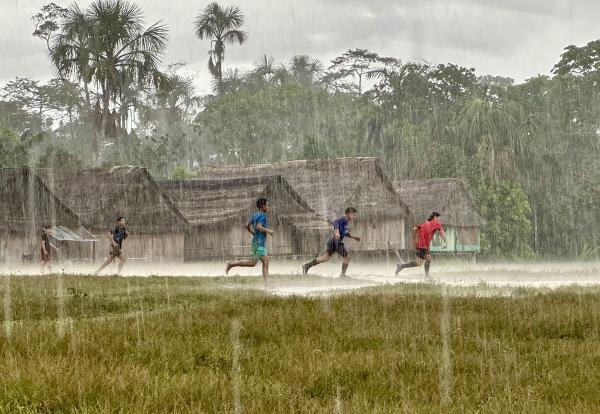 Mongabay’s investigative reporting won&hellip;