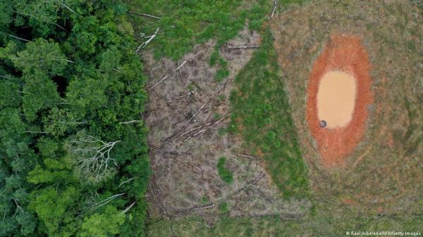 The business of saving nature