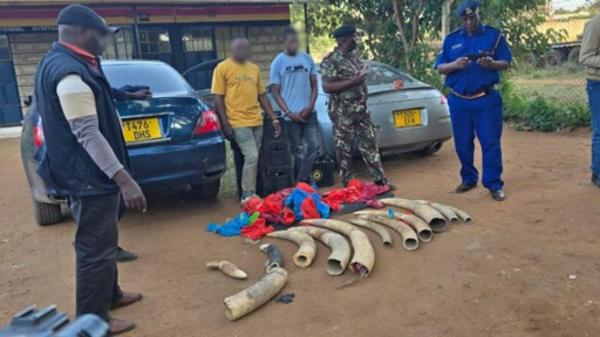 After 110-kilo ivory bust, familiar&hellip;