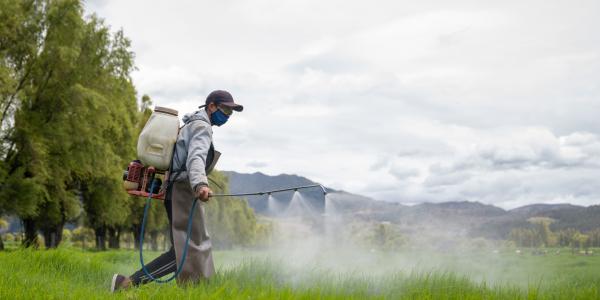 Why are young people getting colon&hellip;