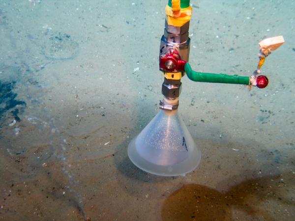 photo of New study confirms extensive gas leaks in the North Sea; recommends stricter guidelines for handling of abandoned wells image