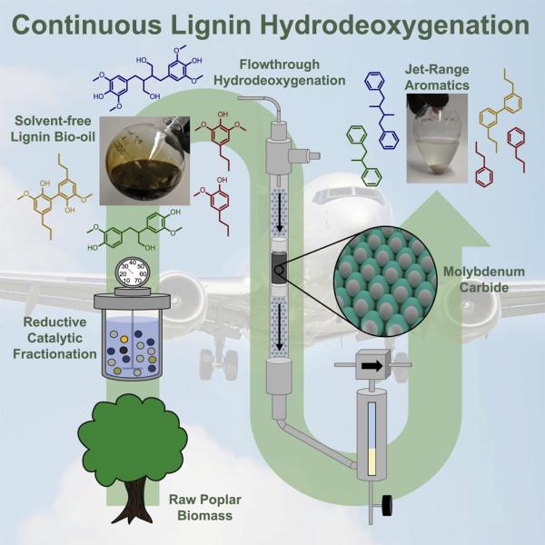 photo of NREL, MIT, WSU team develops process to convert lignin to aromatic blendstock for 100% sustainable aviation fuel image