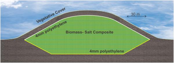 photo of Berkeley researchers propose salted biomass as scalable, economical and stable carbon capture and storage solution image