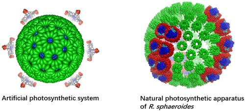 photo of New photocatalytic system converts carbon dioxide to valuable fuel more efficiently than natural photosynthesis image