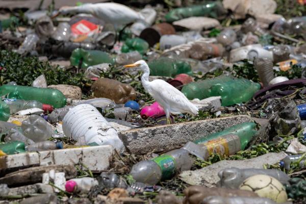 Waste-to-energy project could boost Brazil’s decarbonization goals