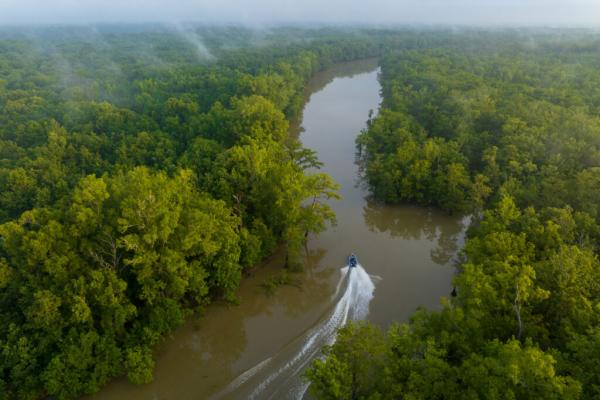 Saved From the Saw: Conservation Deal…