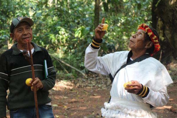 Paraguay’s Indigenous Paĩ Tavyterã…