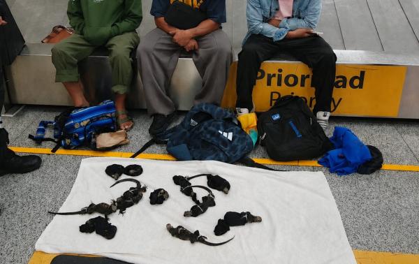 Three Thai nationals suspected of&hellip;