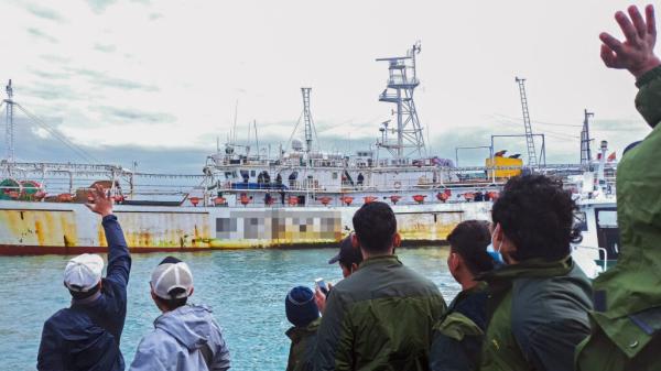 Dolphins, Sharks, Turtles and Workers Are All Victims of…