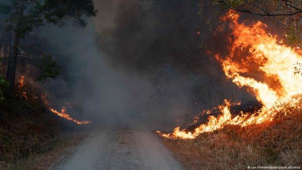 What to do when wildfires trigger trauma