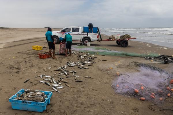 Illegal fishing threatens unique marine…