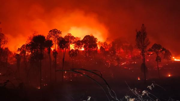 Wildfires on doorstep of Indonesia’s…