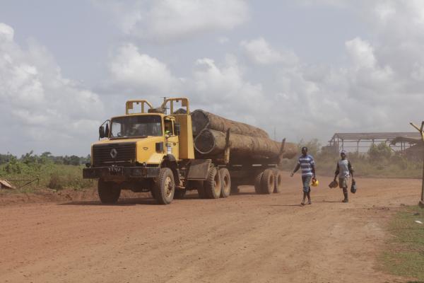 EU votes to end illegal logging…