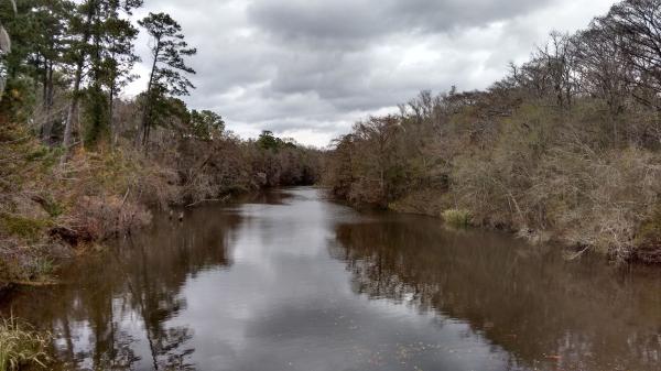 Savannah's PFAS lawsuit sits in pool of…