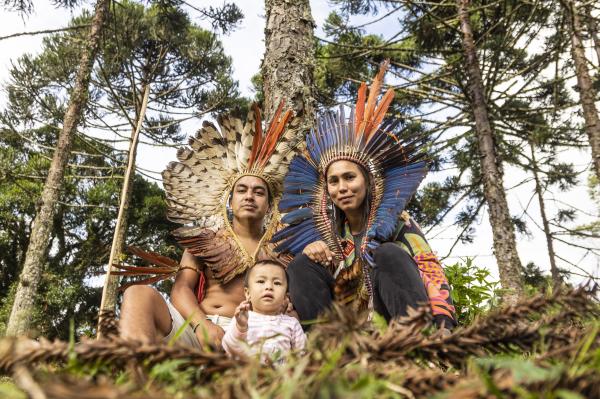 Xokleng Indigenous people plant&hellip;