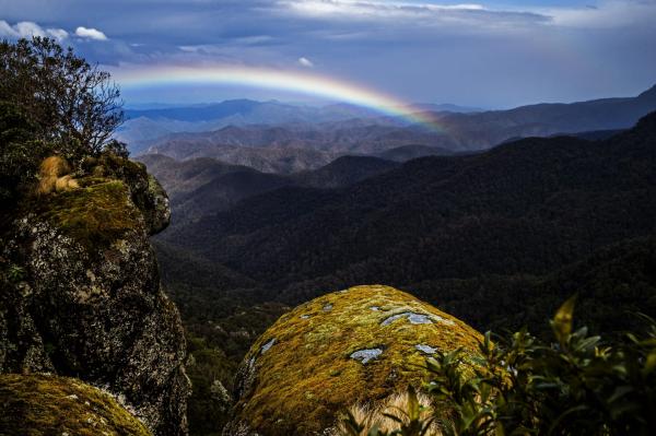 Conservation wins in 2025 that pushed us&hellip;