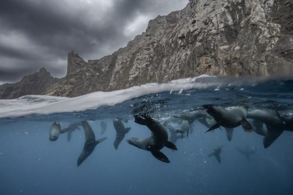 Chile’s plan to protect another 10% of&hellip;